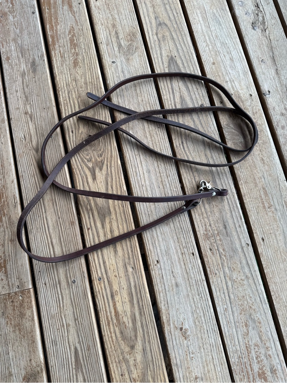 Circle y reins